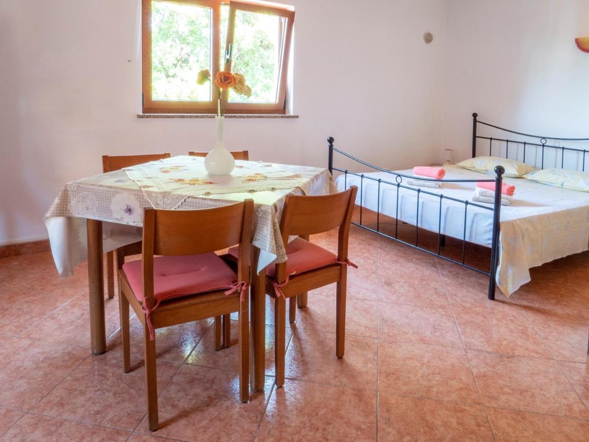 Studio Apartment Gianni Vižinada Eksteriør bilde