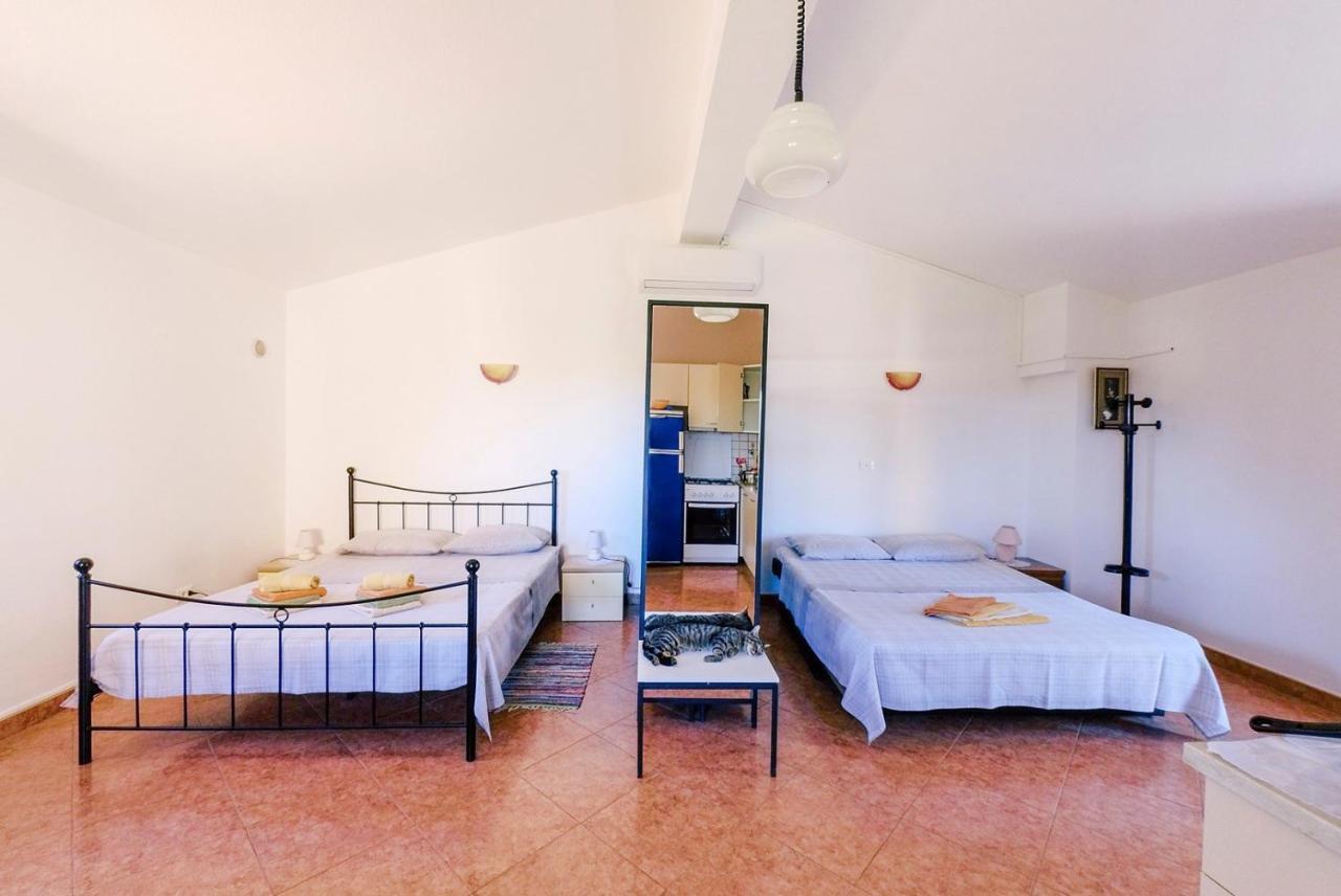 Studio Apartment Gianni Vižinada Eksteriør bilde